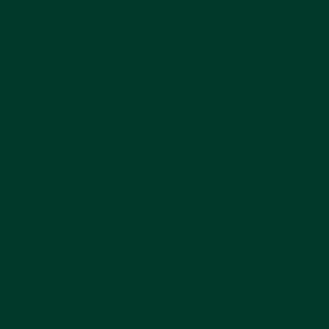 RAL D2 1702010 Trend 1 Dark Green